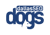 Dallas SEO Dogs