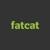 FatCat Strategies logo