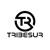 Tribesur logo