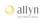 Allyn International Services logo
