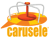 Carusele logo