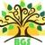 BGS logo