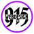915 Web Design logo