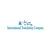 International Translating Company logo