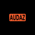 Audaz Group LLC