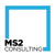 MS2 Consulting