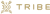 Tribe Interactive, LLC logo
