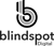 Blindspot Digital logo