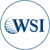 WSI Digital Drive logo