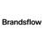 Brandsflow logo