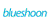 Blueshoon, inc logo