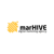 marHIVE - Digital Marketing Agency